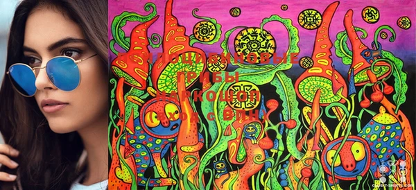 прущие крисы Балахна
