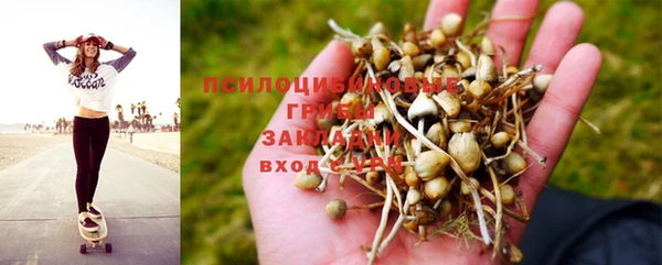 прущие крисы Балахна
