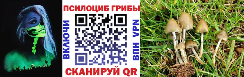 наркотики  Сольвычегодск  Галлюциногенные грибы прущие грибы 