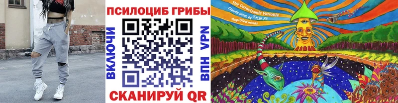 Псилоцибиновые грибы Magic Shrooms Сольвычегодск